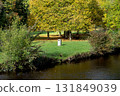 Riverbank Scene with Trees Grass and Litter Bin on an Autumn Morning 131849039