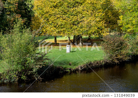 Riverbank Scene with Trees Grass and Litter Bin on an Autumn Morning 131849039