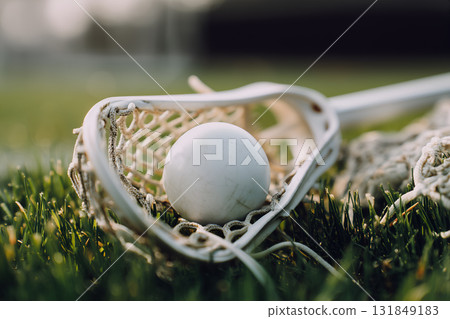 Lacrosse Ball in Stick 131849183