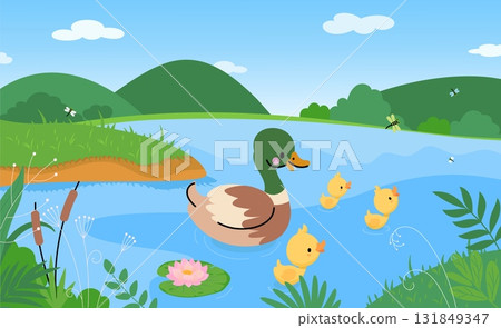 Ducklings in pond. Tiny yellow duckling with mother duck swimming in lake or river. Cartoon nature landscape, countryside wildlife nowaday vector scene 131849347