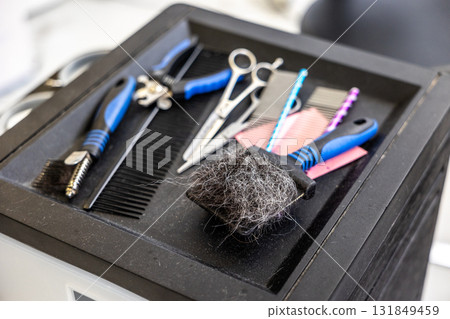 Dog grooming tools with fur preparing for pet care 131849459