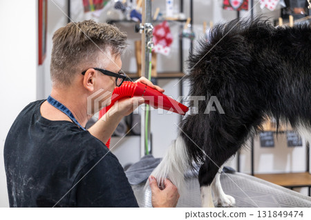 Professional groomer drying dog's fur at pet salon 131849474