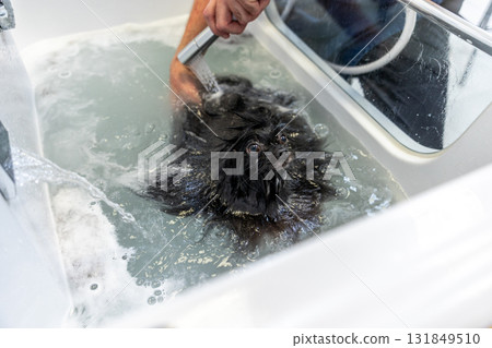 Small black dog bathing in sink during grooming 131849510