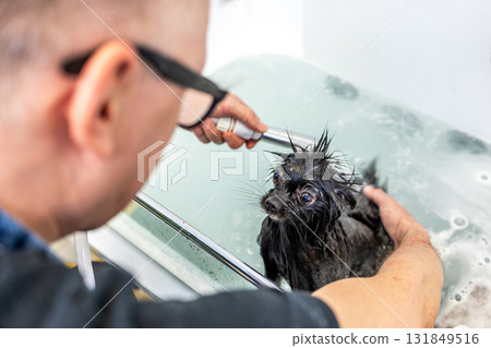 Dog getting bath at pet grooming salon 131849516