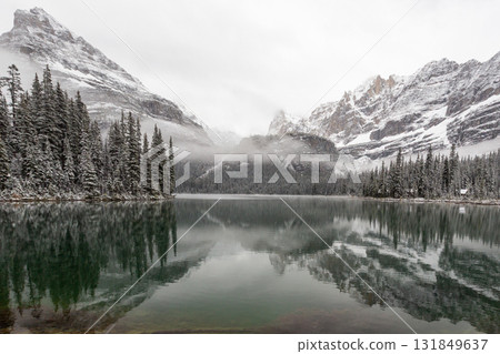 Fog and snow in the Canadian Rockies_Lake O'Hara Fog and snow in the Canadian Rockies_Lake O'Hara 131849637