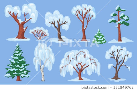 Cartoon snowy trees. Winter spruce tree snow frosty branches, pine fir birch december forest garden park bush nature christmas landscape wood elements set neat vector illustration Cartoon snowy trees. Winter spruce tree snow frosty branches, pine fir birch december forest garden park bush nature christmas landscape wood elements set neat vector illustration 131849762