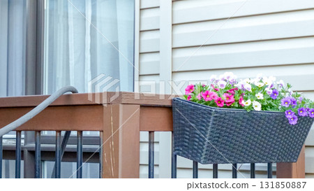 Flower basket with vibrant blooms hanging from wooden railing, showcasing colorful petals against a modern home exterior with soft lighting 131850887