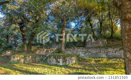 Villa Doria Pamphili park in beautiful town of Albano Laziale timelapse hyperlapse, Italy 131851505