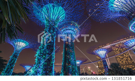 Futuristic view of amazing illumination at Garden by the Bay night timelapse hyperlapse in Singapore. Futuristic view of amazing illumination at Garden by the Bay night timelapse hyperlapse in Singapore. 131851716