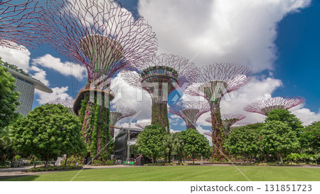 Futuristic view of amazing supertrees at Garden by the Bay timelapse hyperlapse in Singapore. 131851723