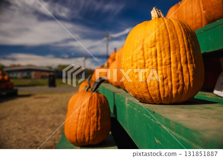 Close-up of bright orange pumpkins arranged on a green wooden stand at a local farm market on a sunny autumn day. 131851887