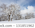 白雪覆蓋的樹木風景 131851962