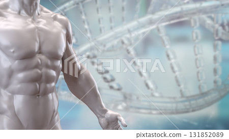 The Human Body for Science or medical concept 3d Rendering. 131852089