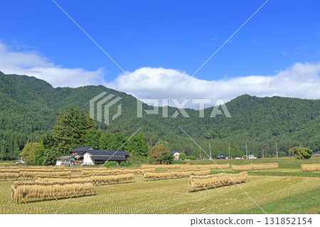 Autumn in Azumino: A landscape with a hanging curtain Autumn in Azumino: A landscape with a hanging curtain 131852154