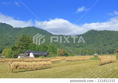 Autumn in Azumino: A landscape with a hanging curtain 131852155