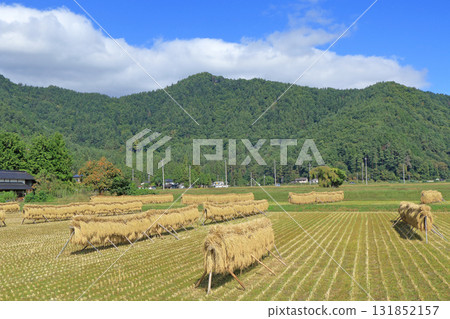 Autumn in Azumino: A landscape with a hanging curtain 131852157