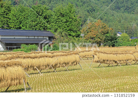 Autumn in Azumino: A landscape with a hanging curtain 131852159