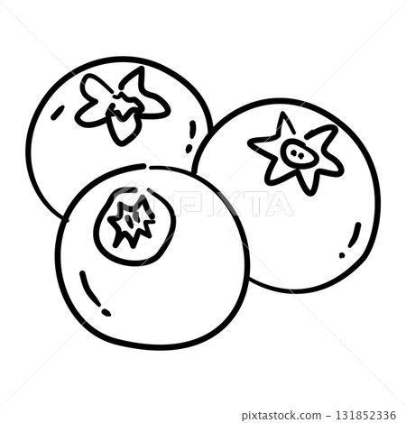 Blueberry Trio Line Art Coquette Thanksgiving Fruit Outline Illustration for Fall Dessert Harvest Decor Cottagecore Kitchen and Autumn Design 131852336