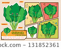 Spinach character nutrition illustration (English version) 131852361