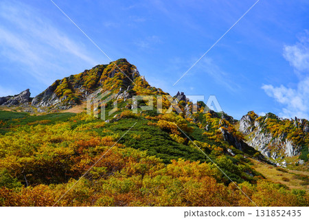 Autumn leaves of Senjojiki Karl 131852435