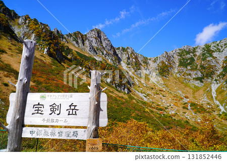 Senjojiki卡爾秋葉 Senjojiki卡爾秋葉 131852446