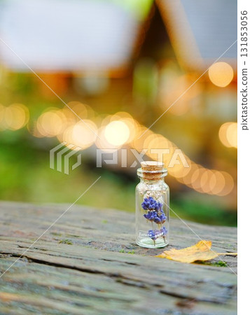 Furano Lavender Bottle and Bokeh Balls 131853056