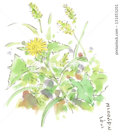 Autumn landscape, watercolor illustration of sowweed and foxtail grass blooming along the roadside 131853201