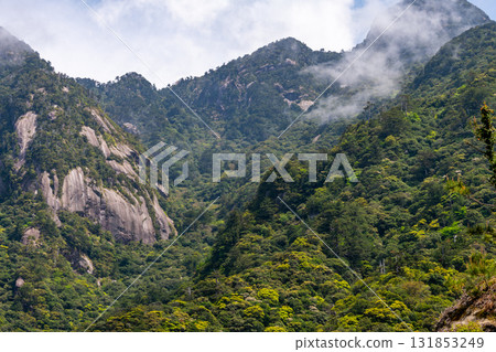 西部林道地區的山脈中，新綠盎然。屋久島是世界自然遺產。 131853249