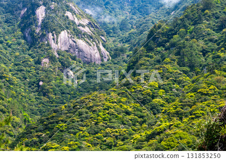 西部林道地區的山脈中，新綠盎然。屋久島是世界自然遺產。 131853250