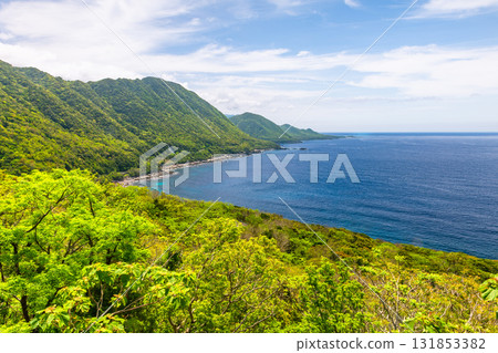 Fresh greenery shines in the Western Forest Road area of Yakushima, a World Natural Heritage Site Fresh greenery shines in the Western Forest Road area of Yakushima, a World Natural Heritage Site 131853382