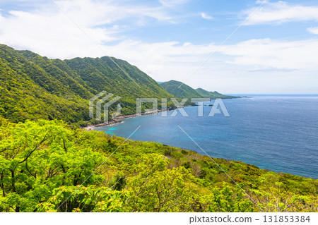 世界自然遺產屋久島西部林道地區,新綠色閃耀 世界自然遺產屋久島西部林道地區,新綠色閃耀 131853384