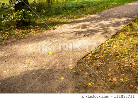 Autumn park trail with yellow leaves and dappled tree shadows, horizontal composition 131853731