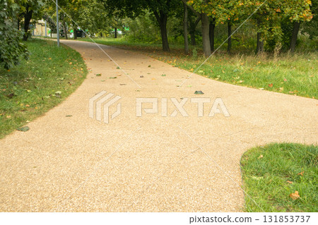Curved park walkway with greenery and fallen leaves Curved park walkway with greenery and fallen leaves 131853737