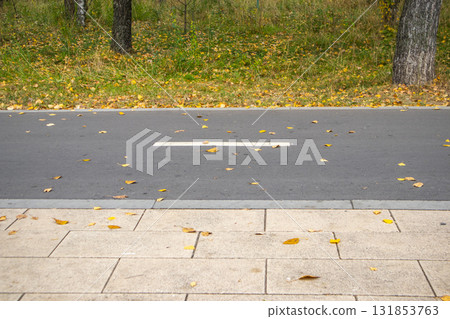 Autumn bike lane and sidewalk with fallen leaves in an urban park 131853763