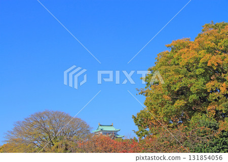 愛知縣名古屋市名古屋城的秋景 131854056