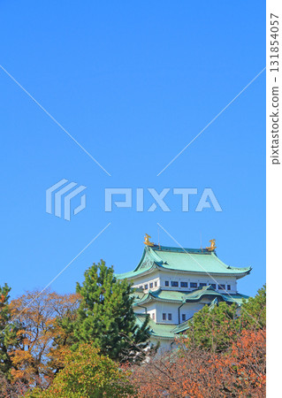 愛知縣名古屋市名古屋城的秋景 131854057