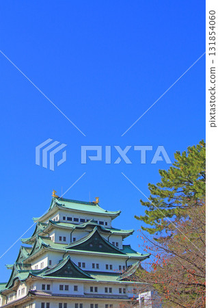 愛知縣名古屋市名古屋城的秋景 131854060