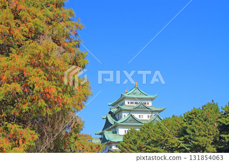 愛知縣名古屋市名古屋城的秋景 131854063