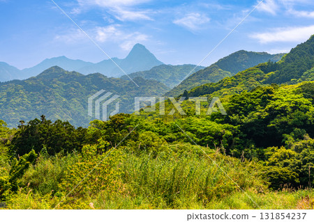 Shichigodake - Like the Matterhorn - World Natural Heritage Site Yakushima (Spring) 131854237