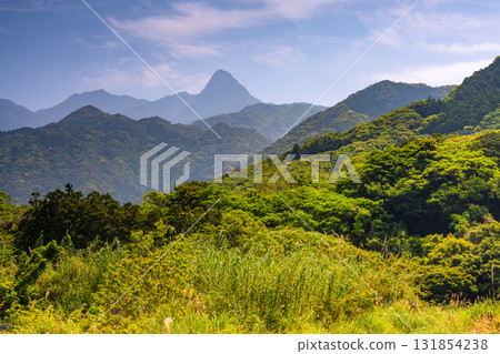 Shichigodake - Like the Matterhorn - World Natural Heritage Site Yakushima (Spring) 131854238