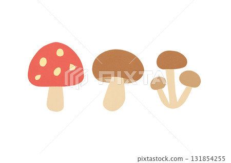 秋季菇類（毒蠅傘、香菇、姬菇） 131854255