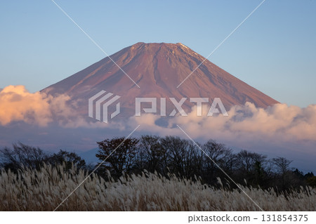 Mt. Fuji stained in setting sun 131854375