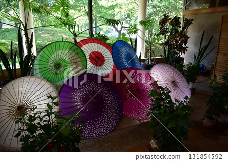 Mie Prefecture Nabana Village 131854592