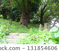Mitakeyama Kofun, located near Todoroki Fudo 131854606