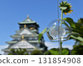 大阪城 城堡 大阪城 131854908