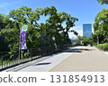 大阪城 城堡 大阪城 131854913
