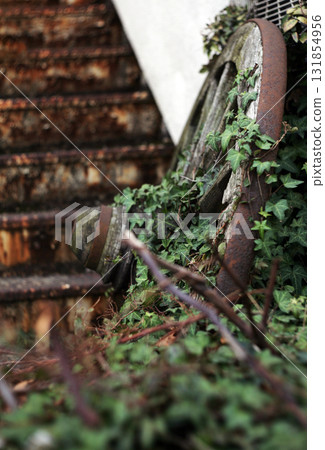 A wheel overgrown with ivy and decaying A wheel overgrown with ivy and decaying 131854956