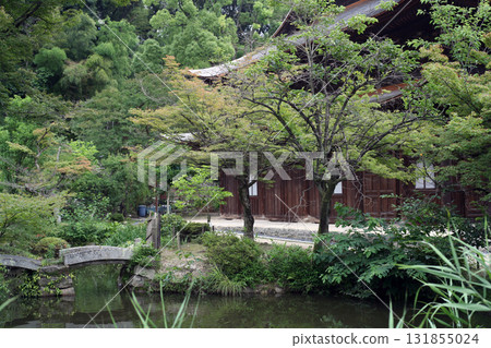 Temple pond and main hall 131855024
