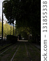 Quiet Urban Tramway Path Lined with Lush Green Trees and Shadows 131855338