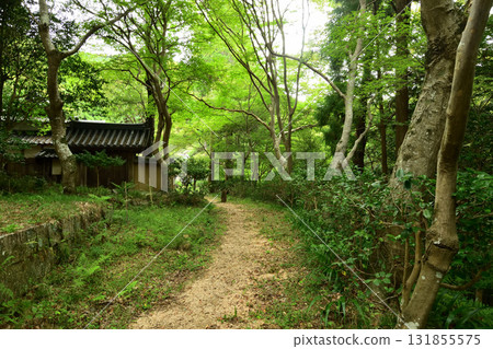 高喜寺（寺廟的參道）[大阪府南河內區伽南町] 131855575